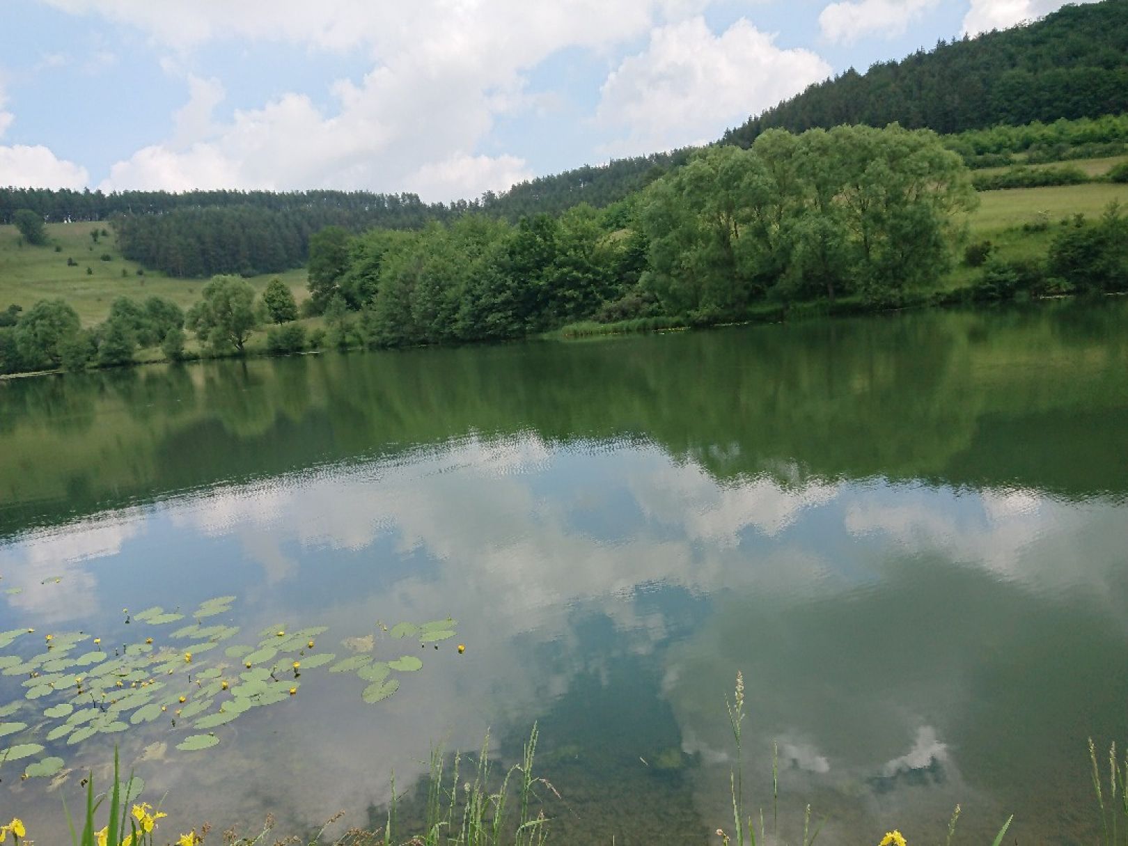 Grimmelbach-Stausee angeln