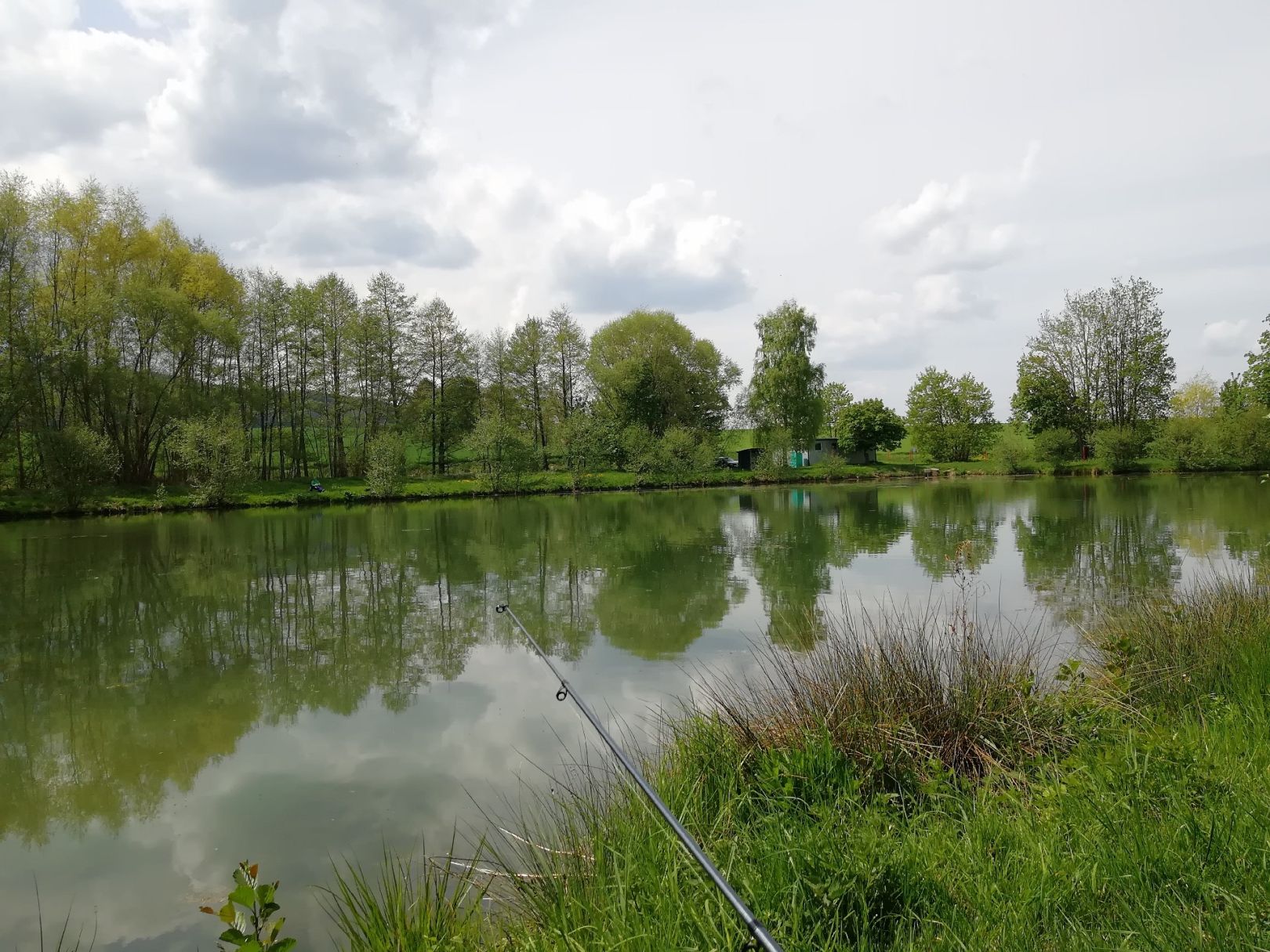 Teich im Rieth (Hörselberg) angeln