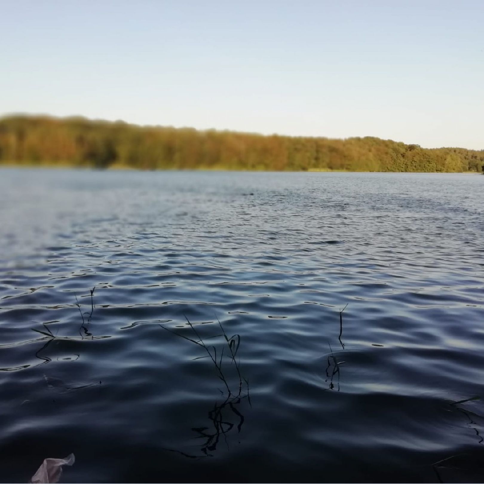 Drüsensee angeln