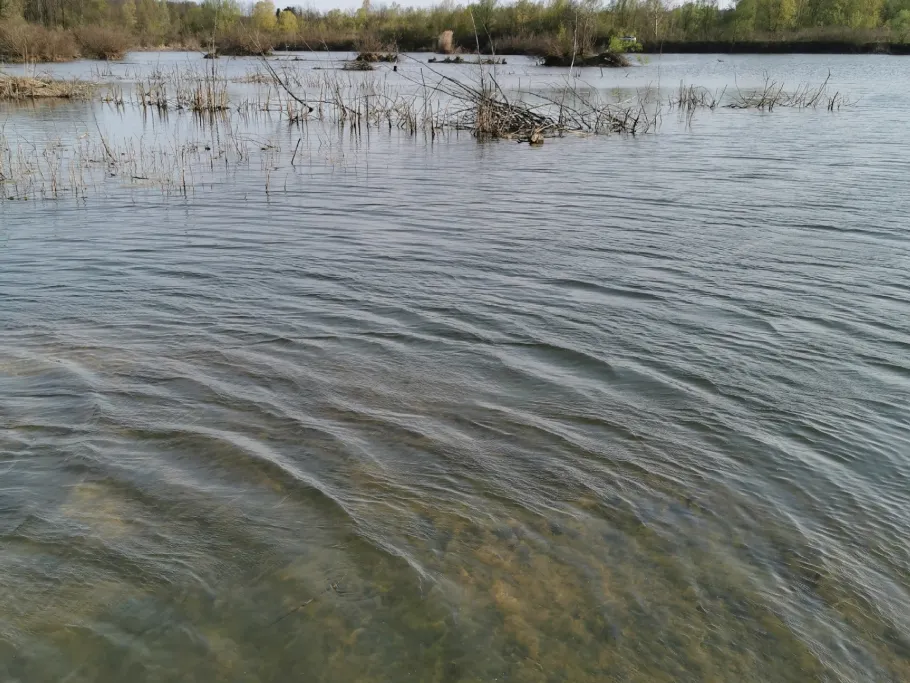 Jungle Lake (Sisak) angeln