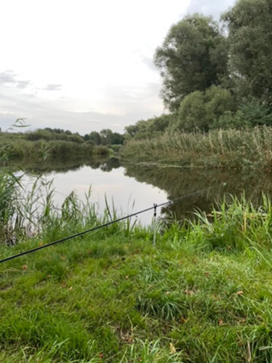 Recknitz-Altarme (Marlow) angeln