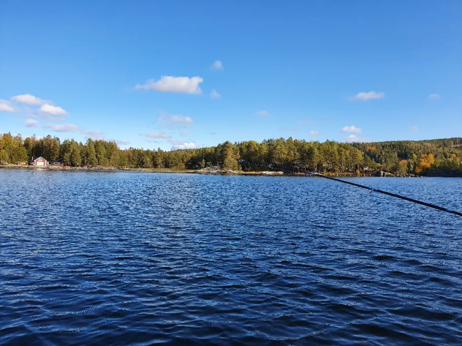 Västra Silen angeln