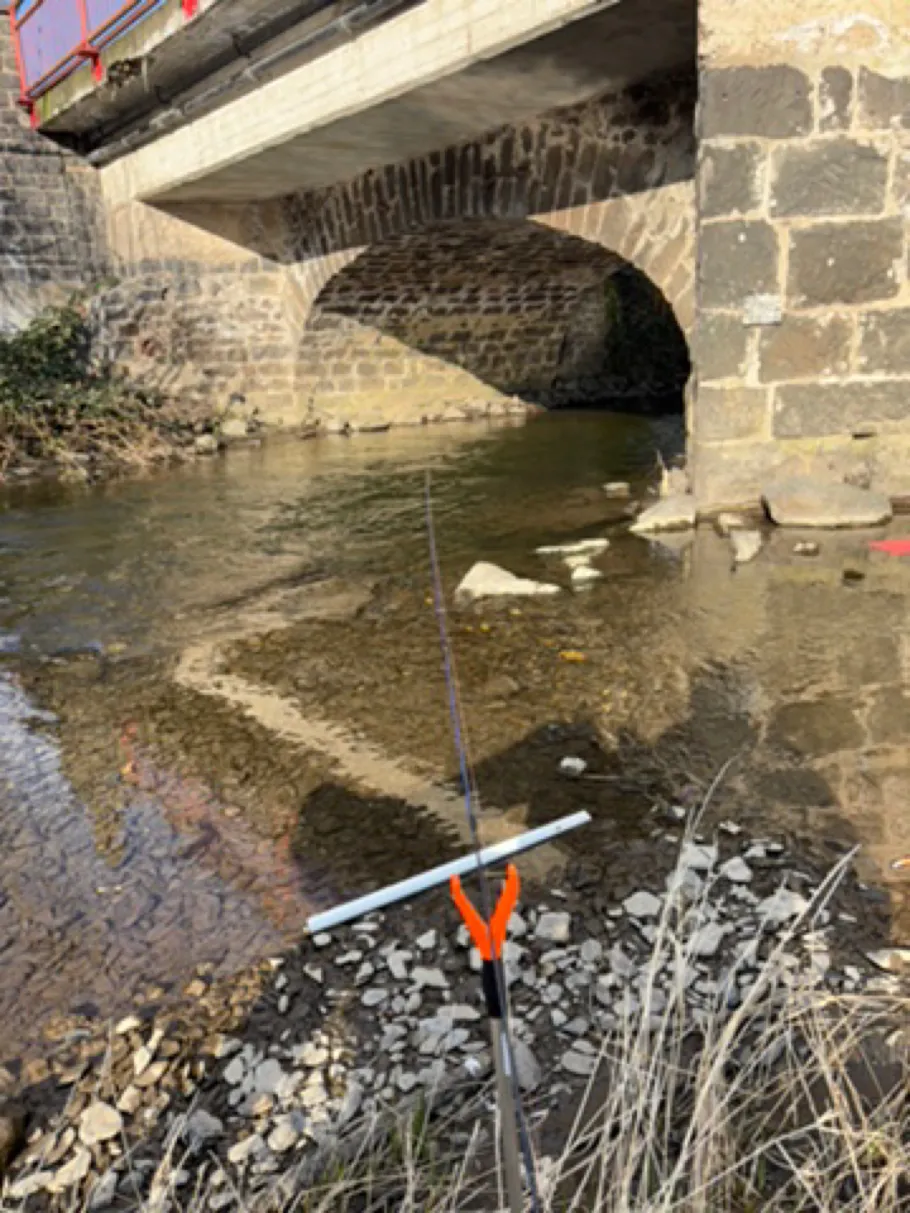 Nette (Plaidt) angeln