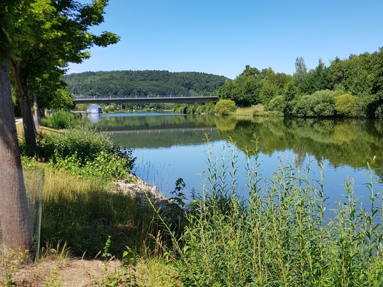 Main-Donau-Kanal (Beilngries) angeln