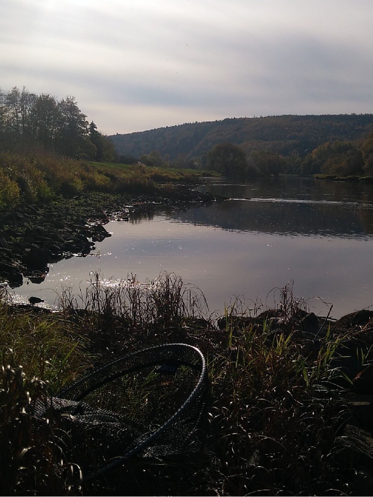 Weser (Hann. Münden) angeln
