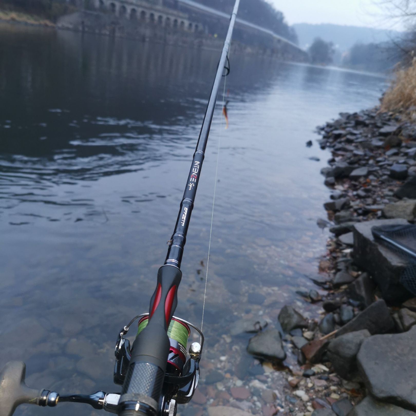 Weser (Hann. Münden) angeln