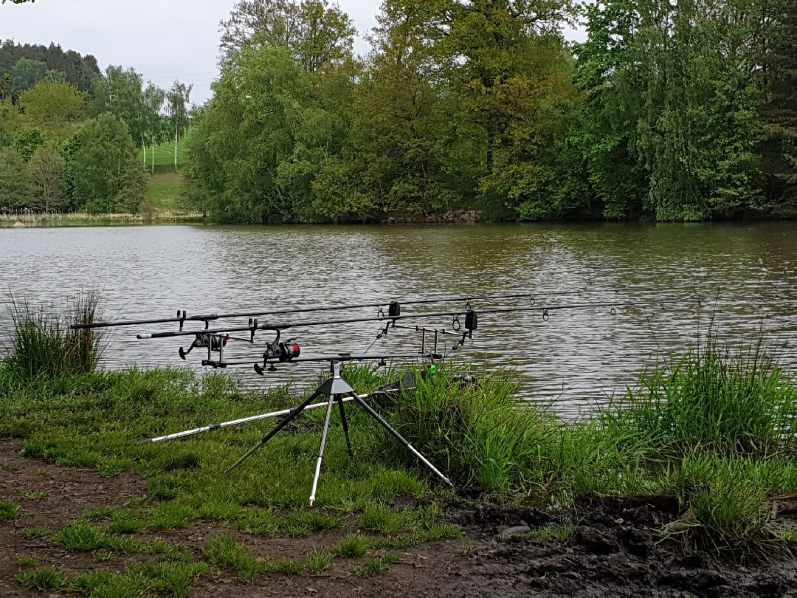 Pechtelsgrüner Weiher angeln