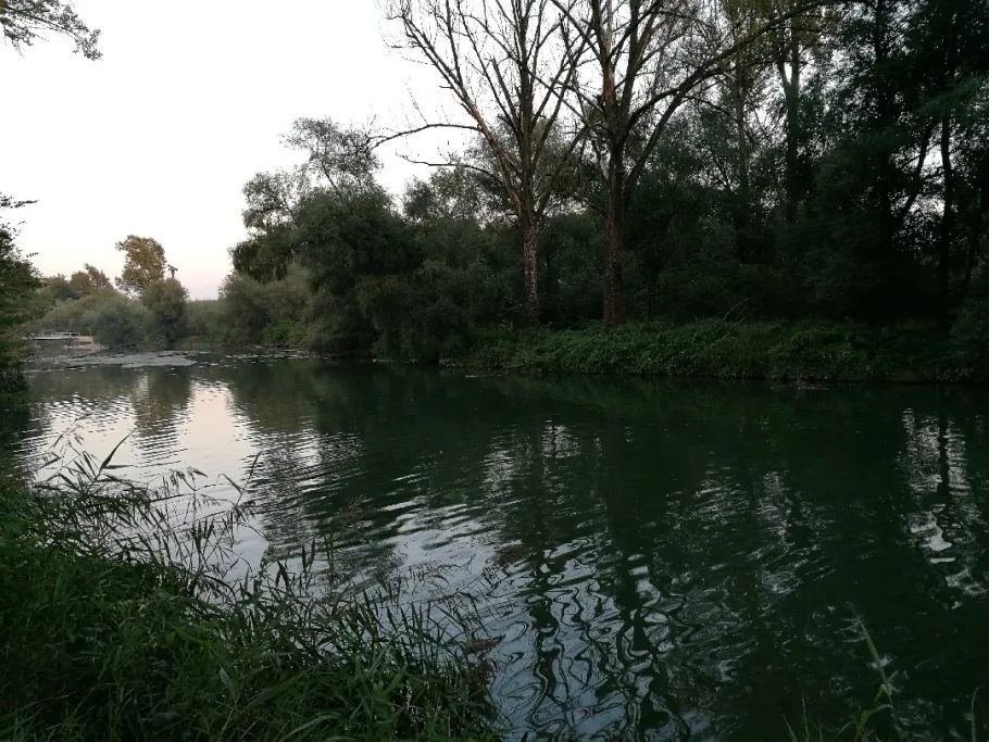 Isararm Plattling angeln