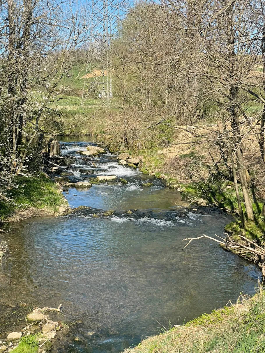 Schwarzbach (Eschelbronn) angeln