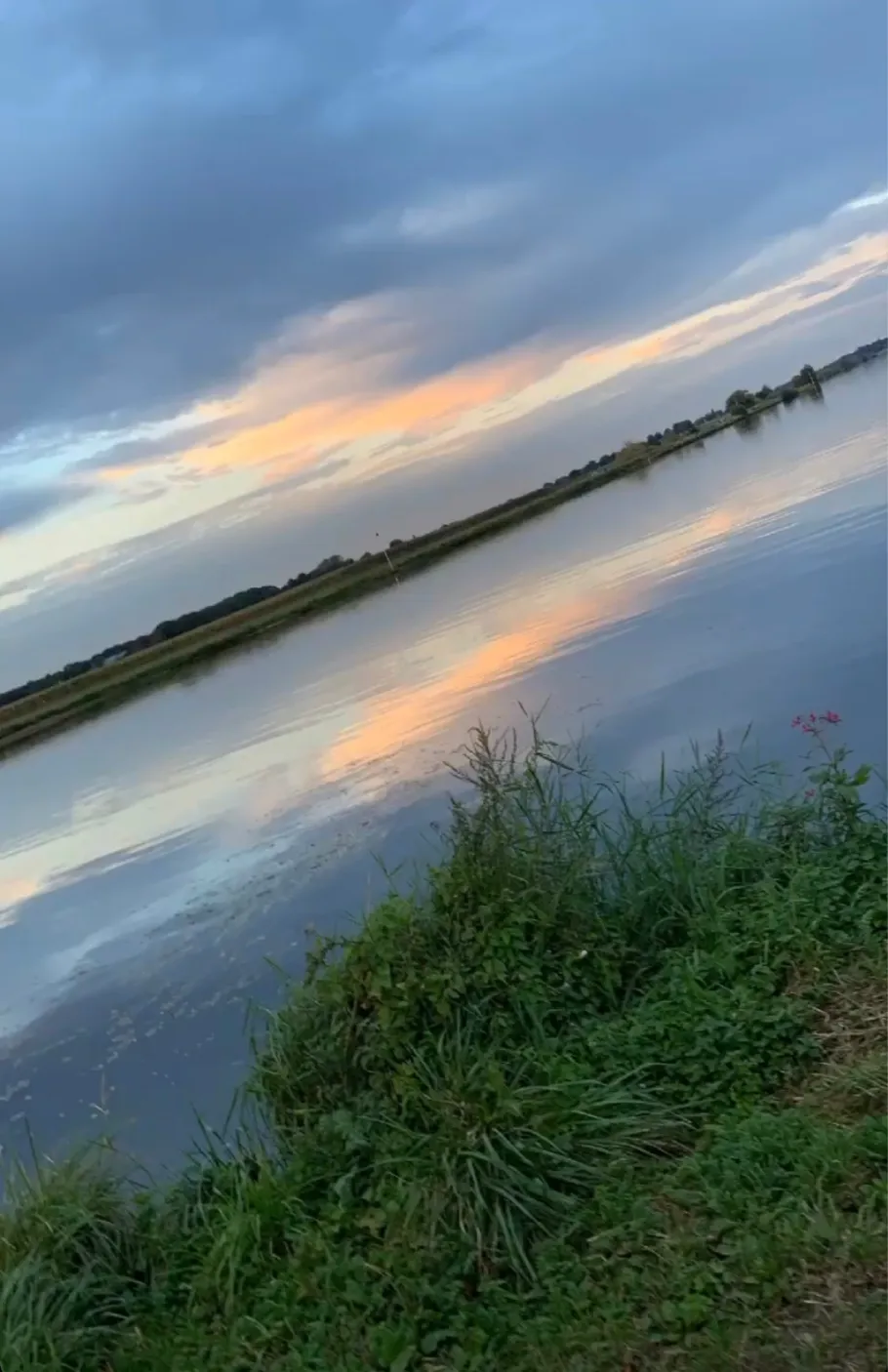 Maas (Reuver) angeln