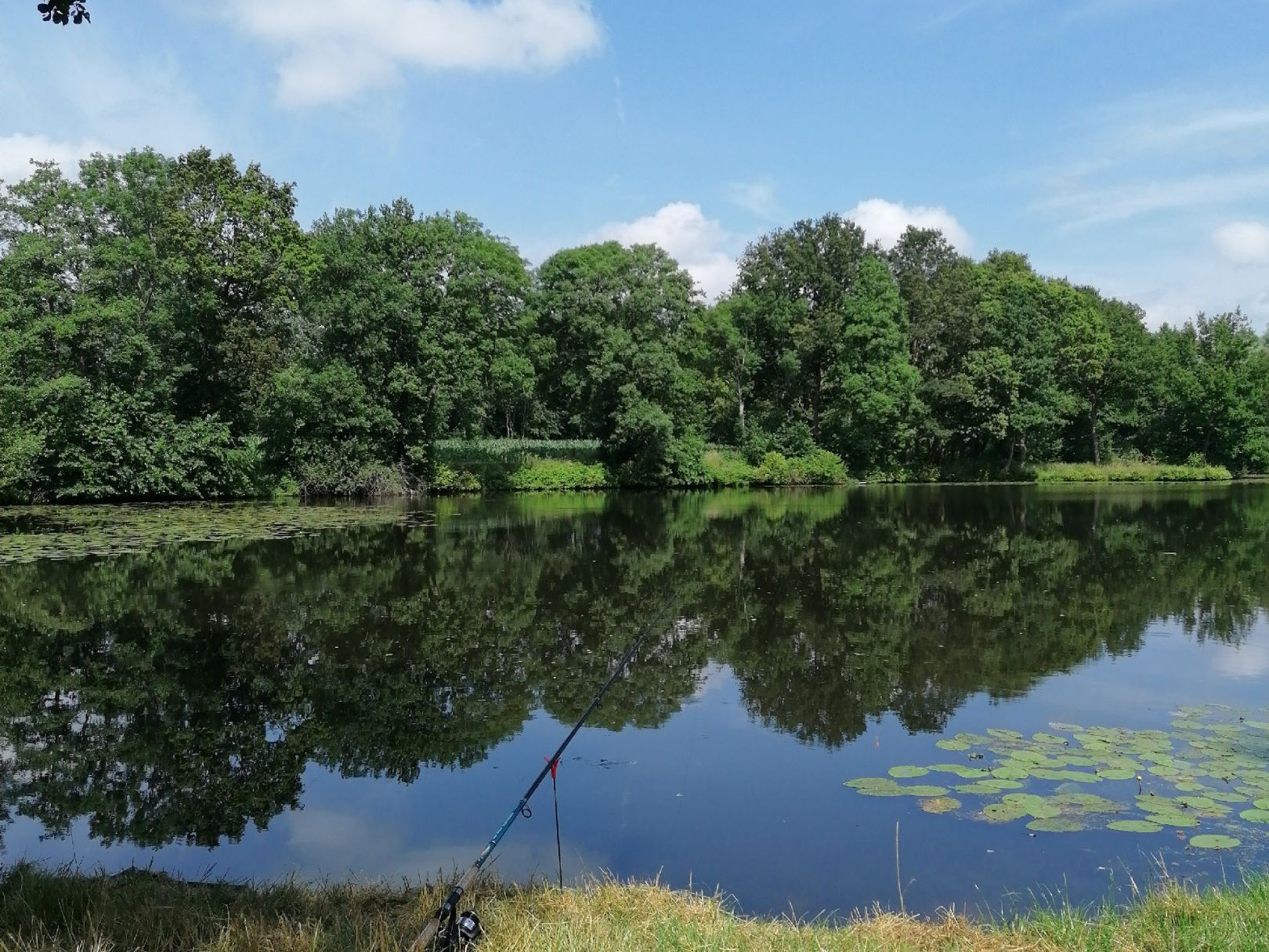 Lake (Borsum) angeln