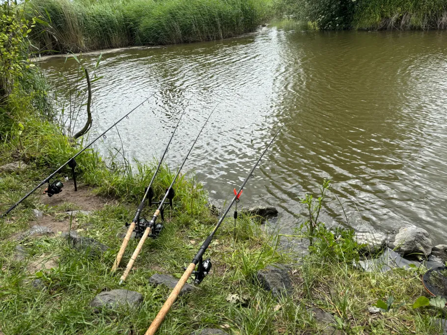 Krautsander Binnenelbe (Drochtersen) angeln