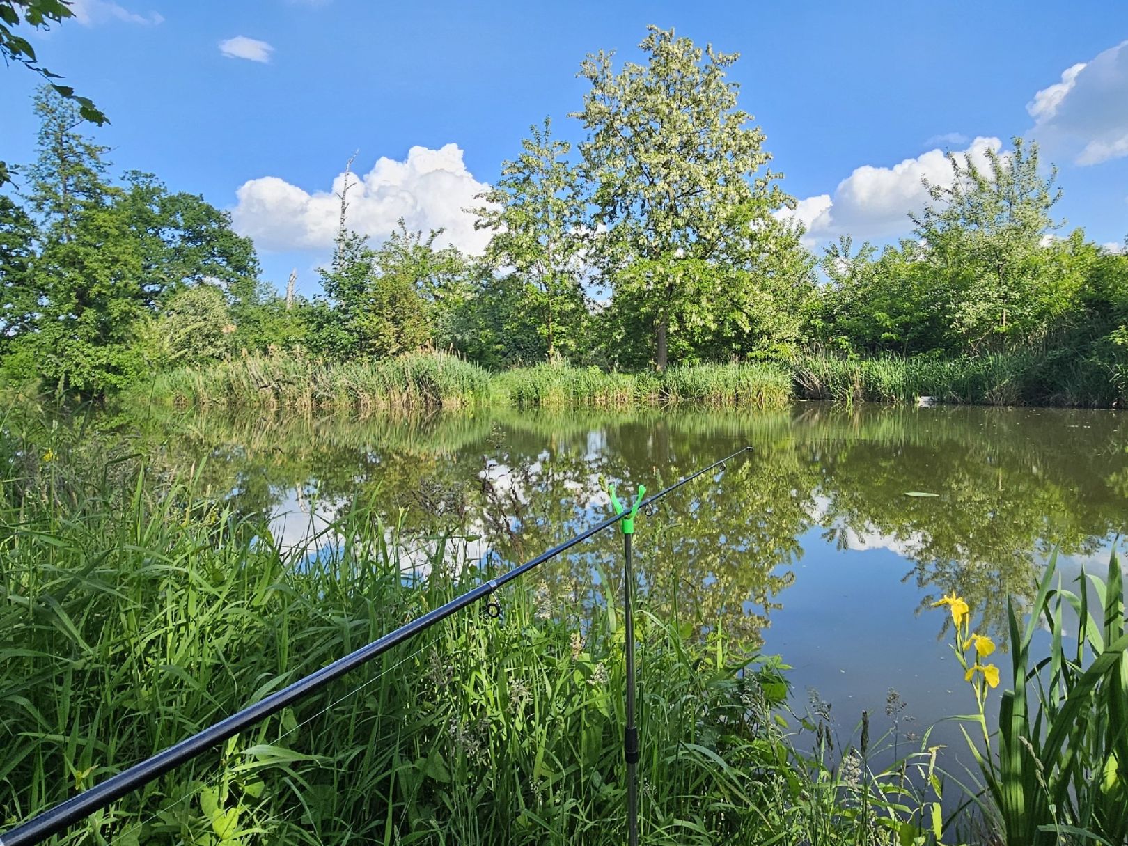 Grödel-Elsterwerdaer Floßkanal (Gröditz) angeln