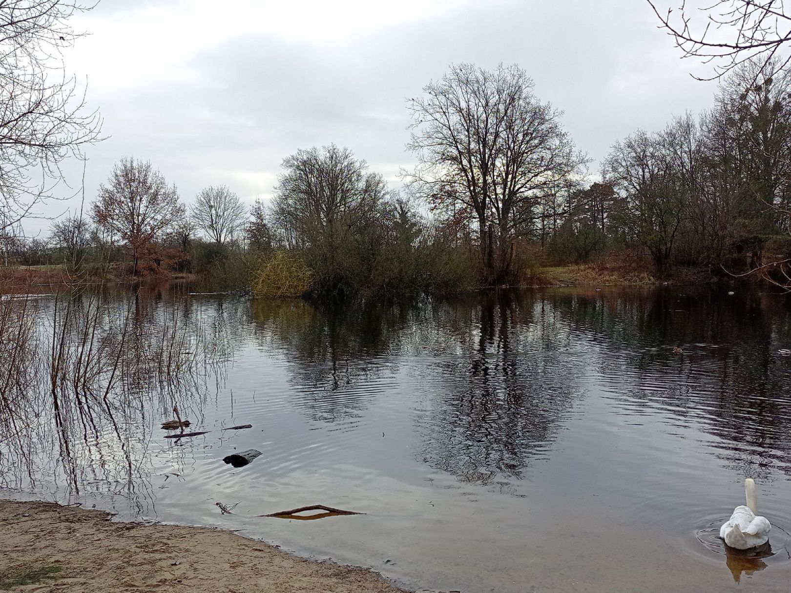 Krummer See (Vogelsdorf) angeln
