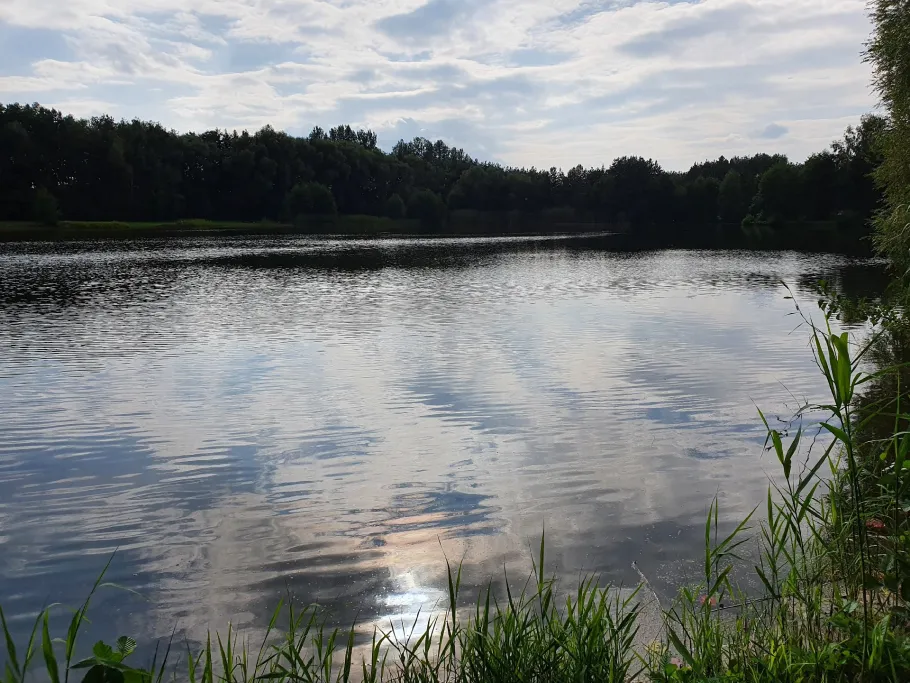 Kiesgrube Bernsdorf angeln