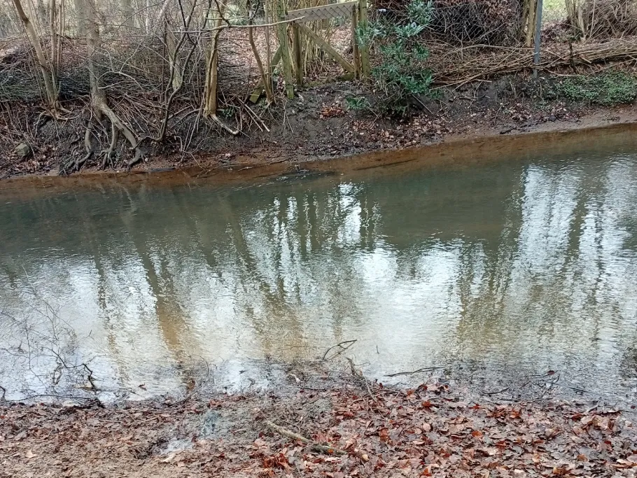 Stör (Neumünster) angeln