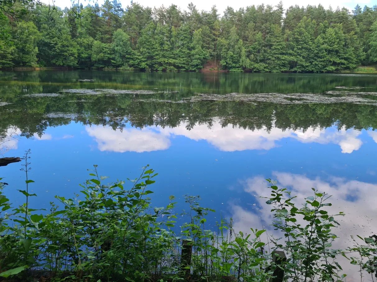 ASV Overhaken Vierhöfen See (Westergellersen) angeln
