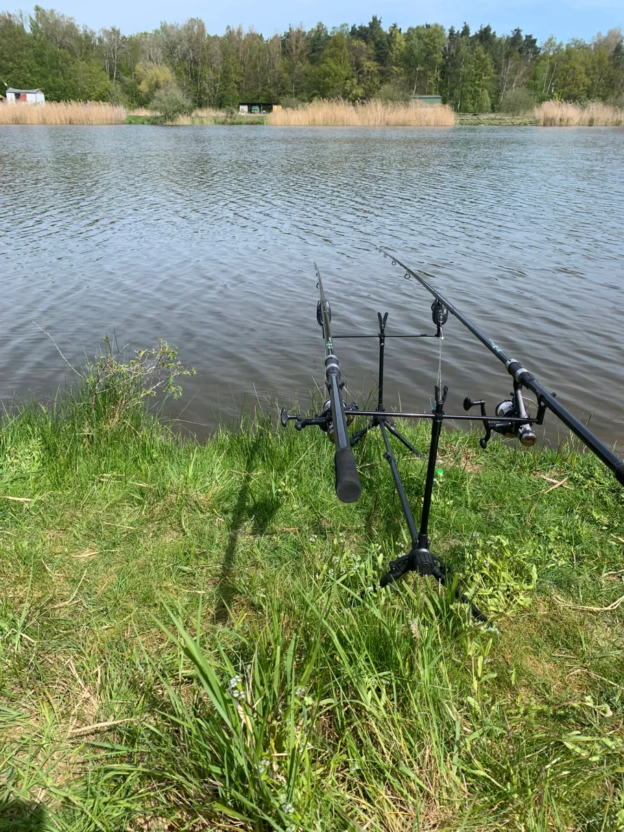 Teichwirtschaft Schönfeld angeln