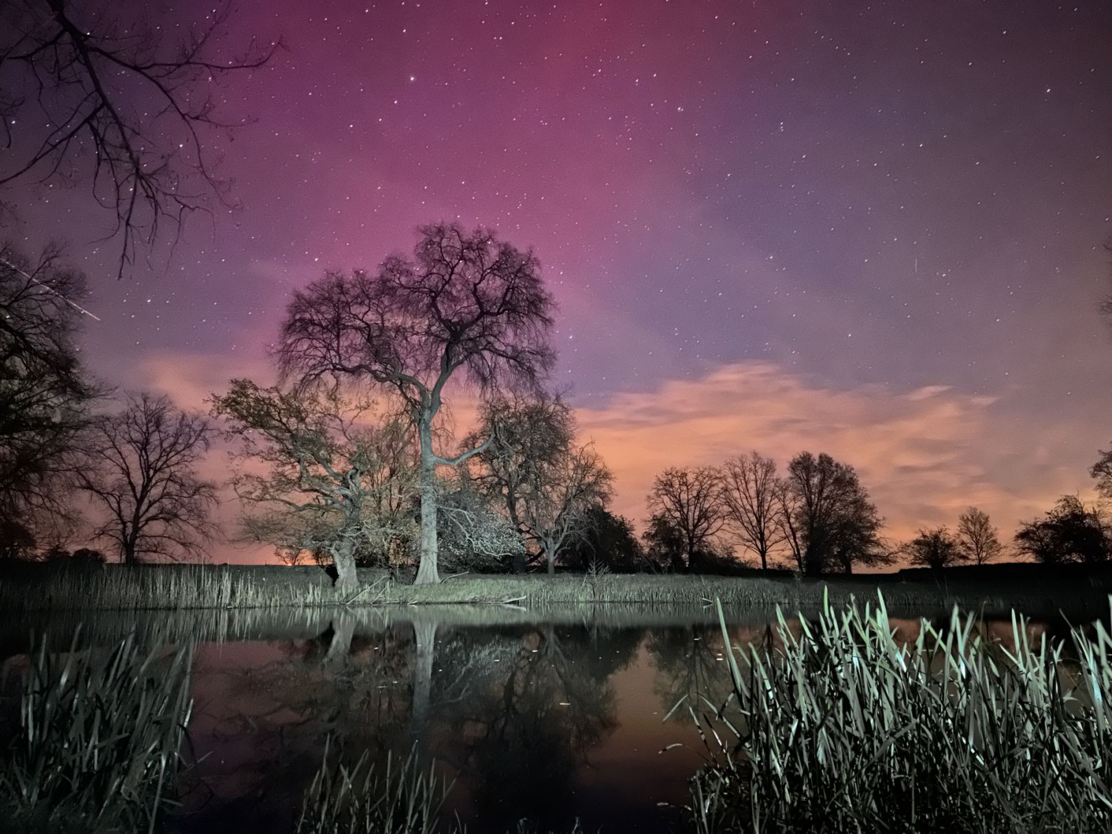 Rote Grube (Liebersee) angeln