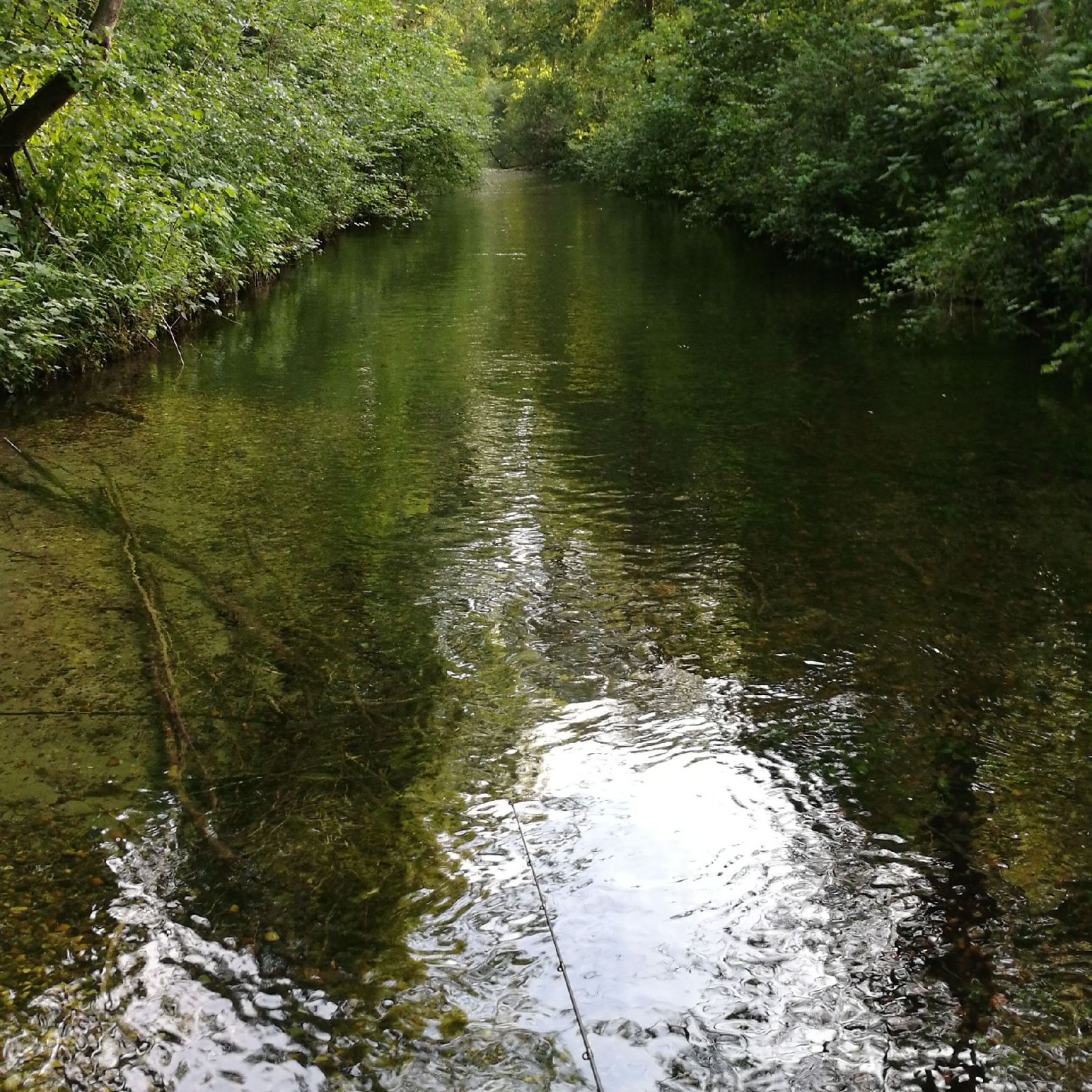 Sickergraben Isar 2 (links) angeln