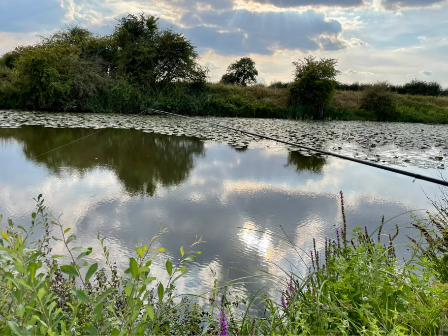 Große Brake (Achim) angeln