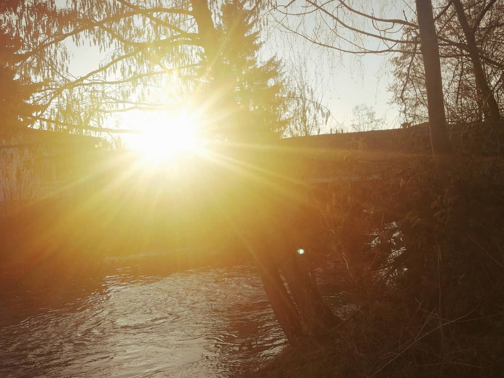 Wetter (Butzbach) angeln