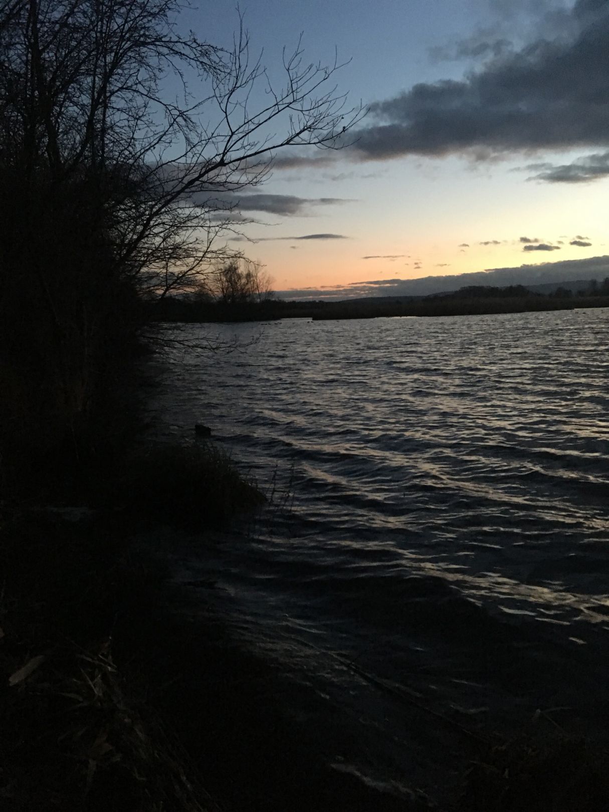 Reinheimer Teich angeln