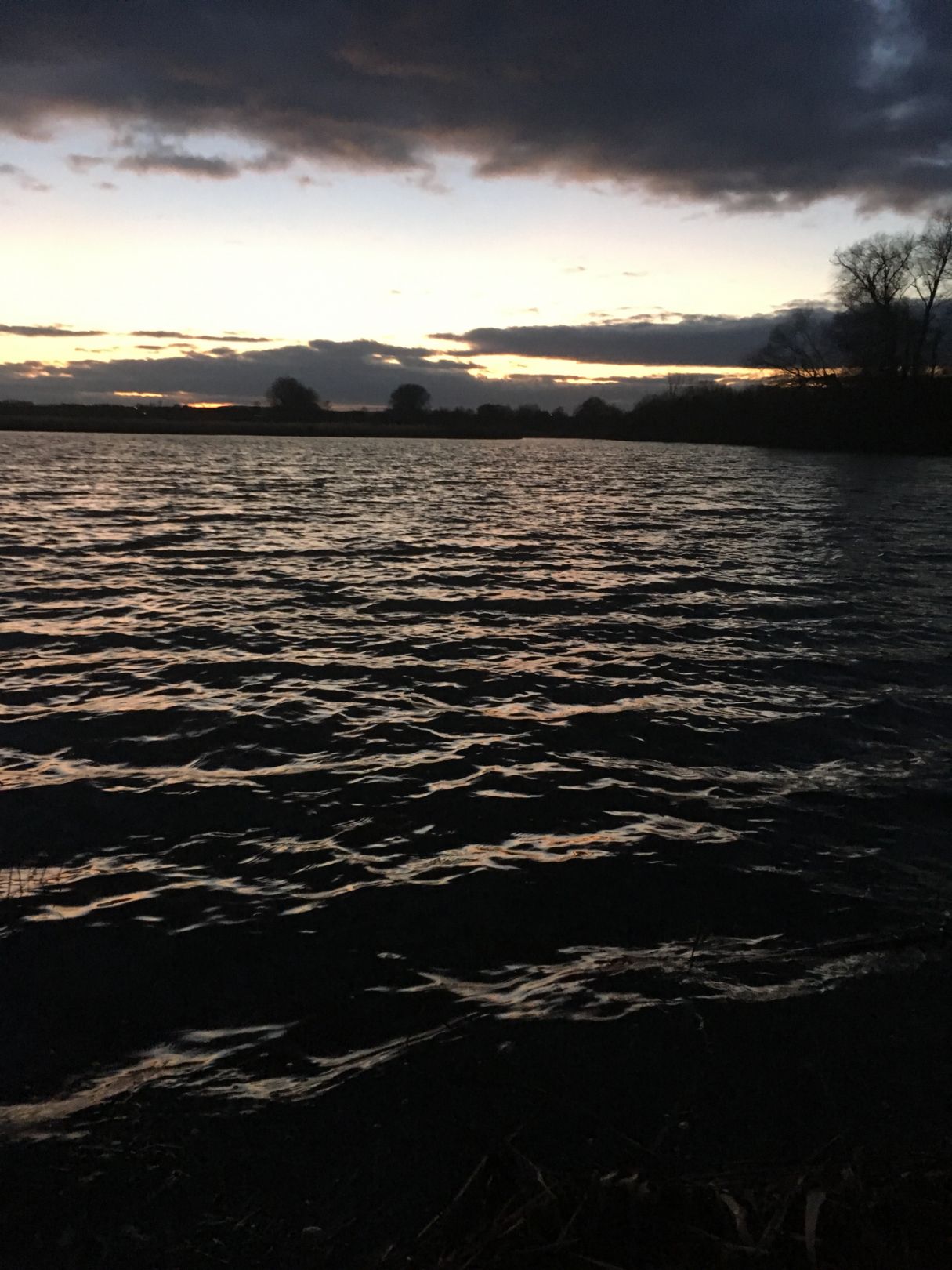Reinheimer Teich angeln