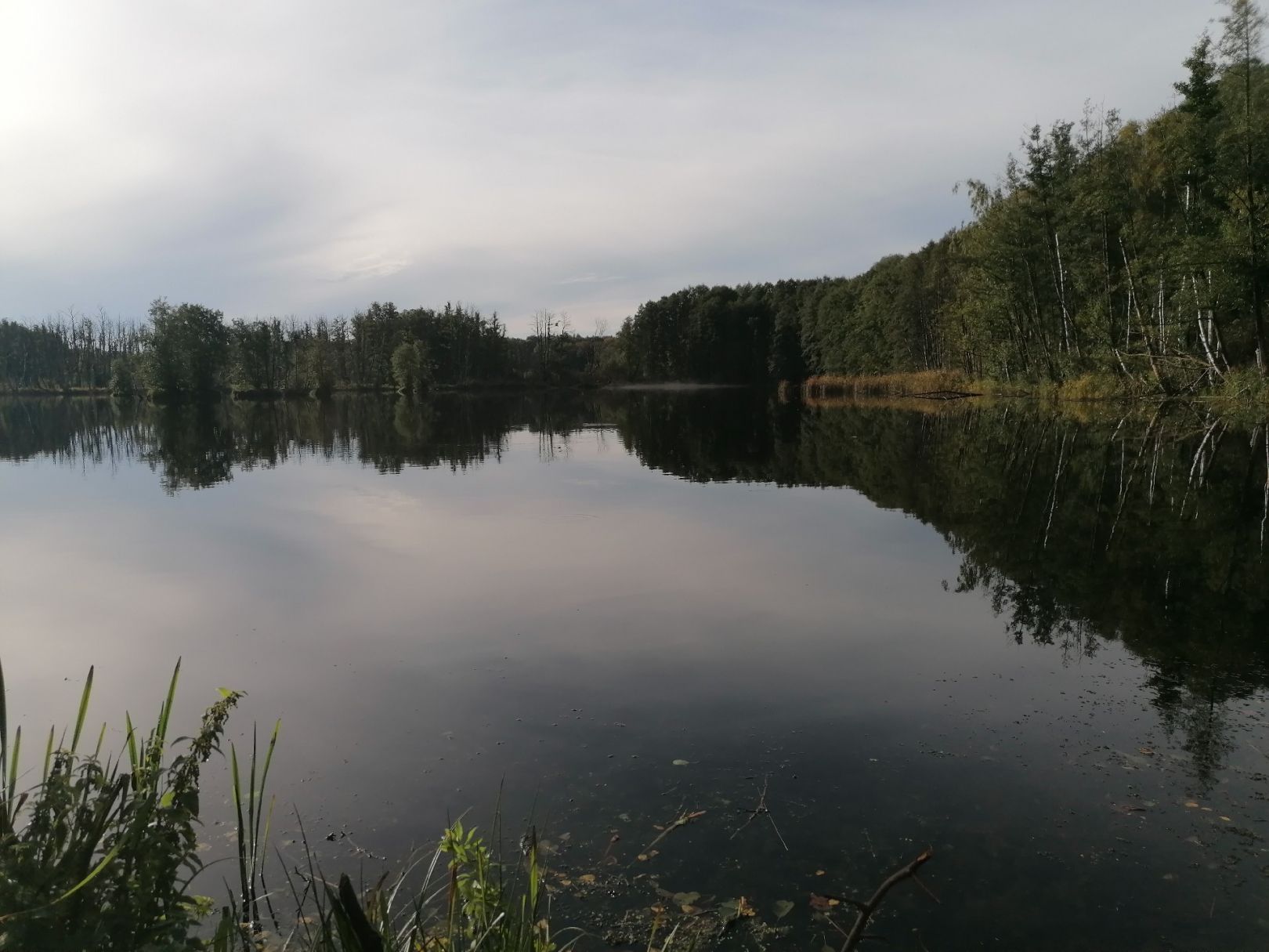 Paradiessee (Altlandsberg) angeln