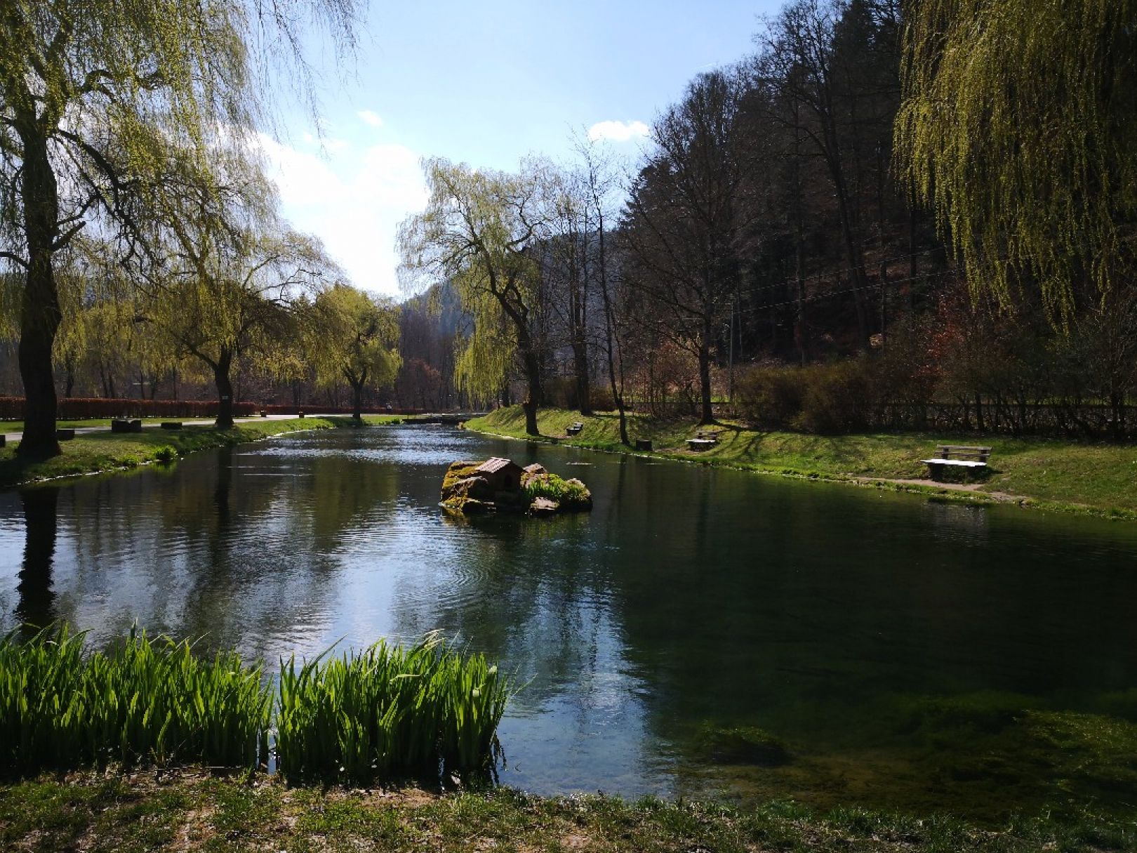 Angeln in Unterreichenbach