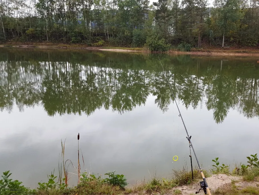 Königsweiher (Weidenberg) angeln