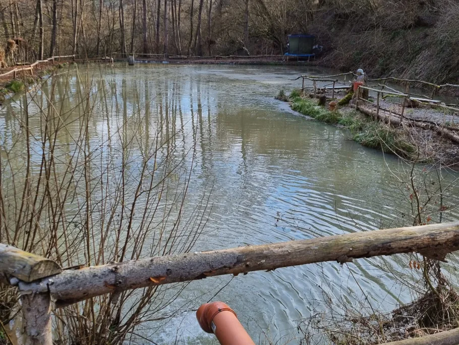 Teichanlage am Dobergsbach angeln