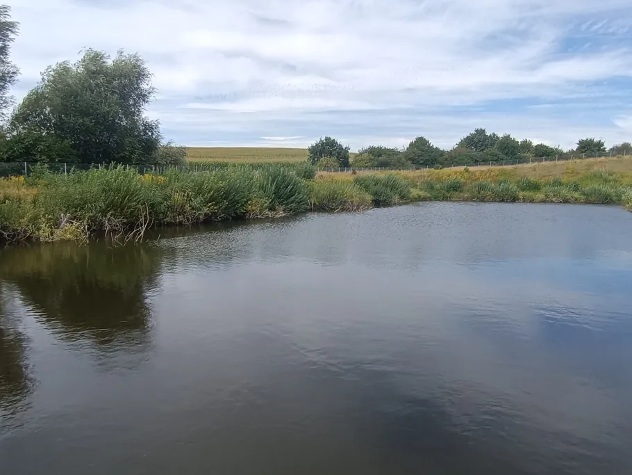 Rückhaltebecken Roggentin angeln
