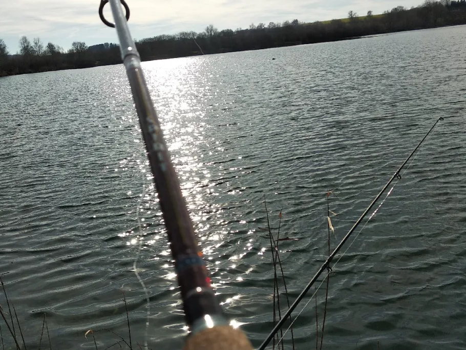 Schwarzachtalseen (Herbertingen) angeln