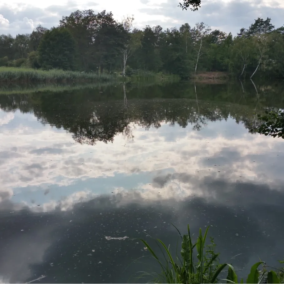 Badegrube Finowfurt angeln