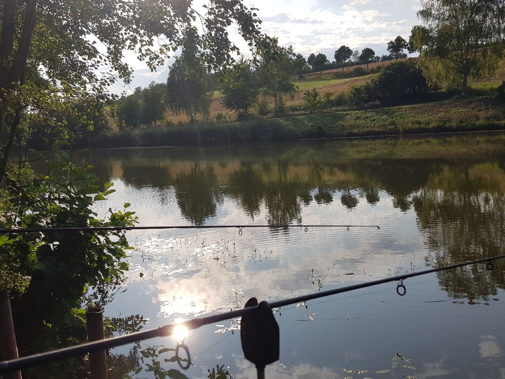 Ochsenpfuhlbachteich angeln