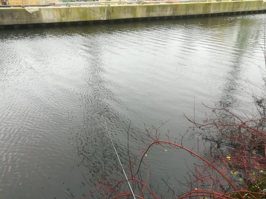 Eilbekkanal (Hamburg) angeln