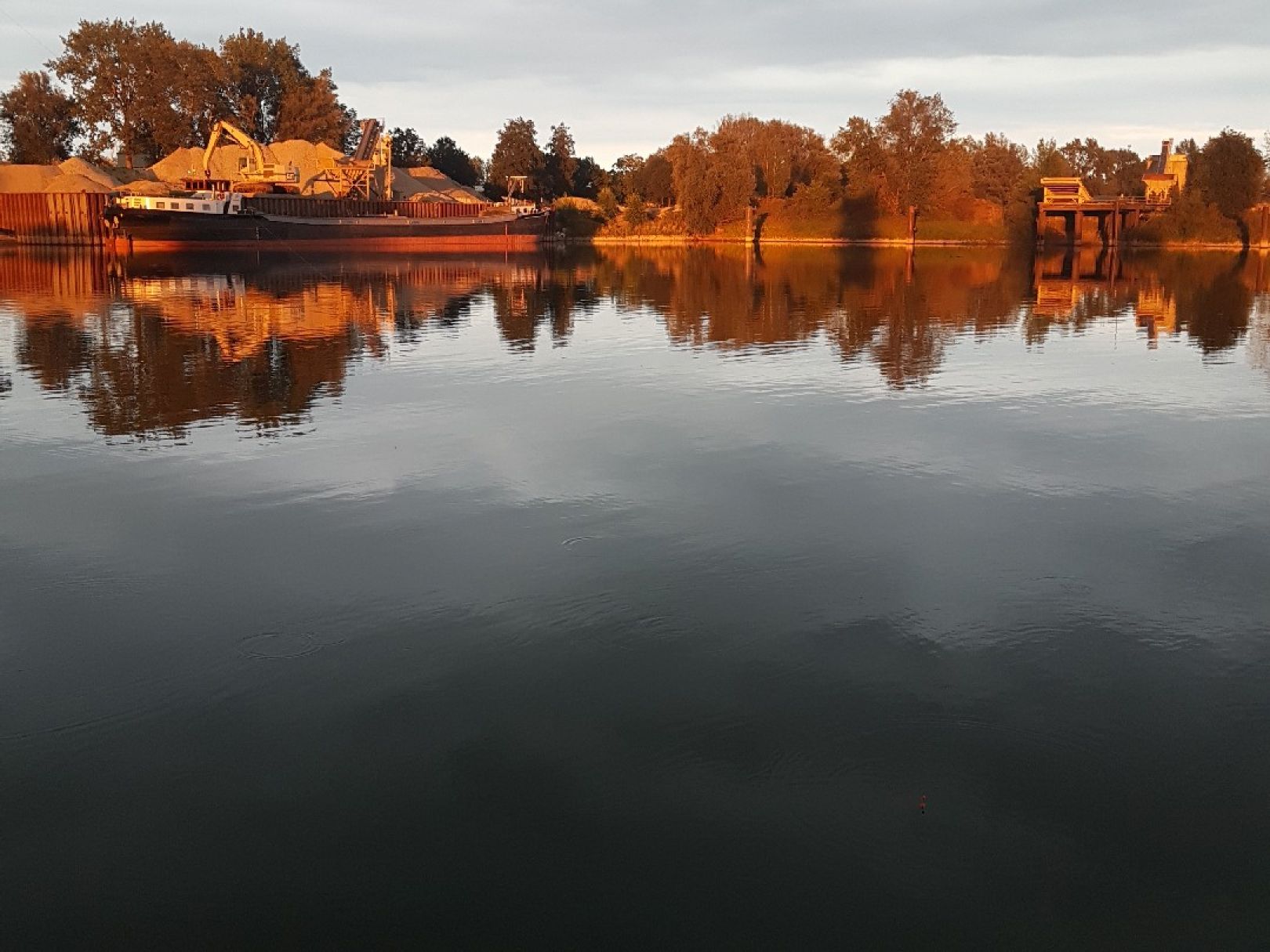 Ijssel (Giesbeek) angeln