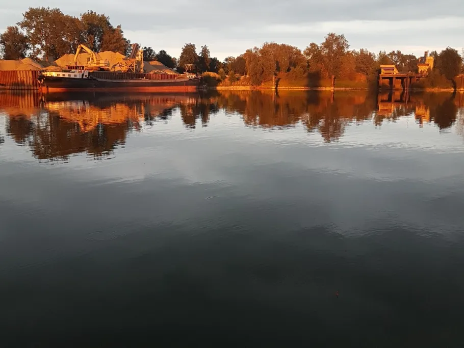 Ijssel (Giesbeek) angeln