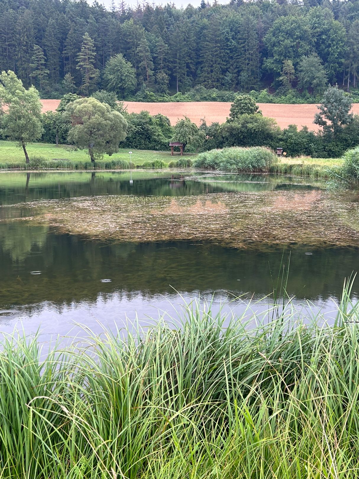 Speicher Krellsen angeln