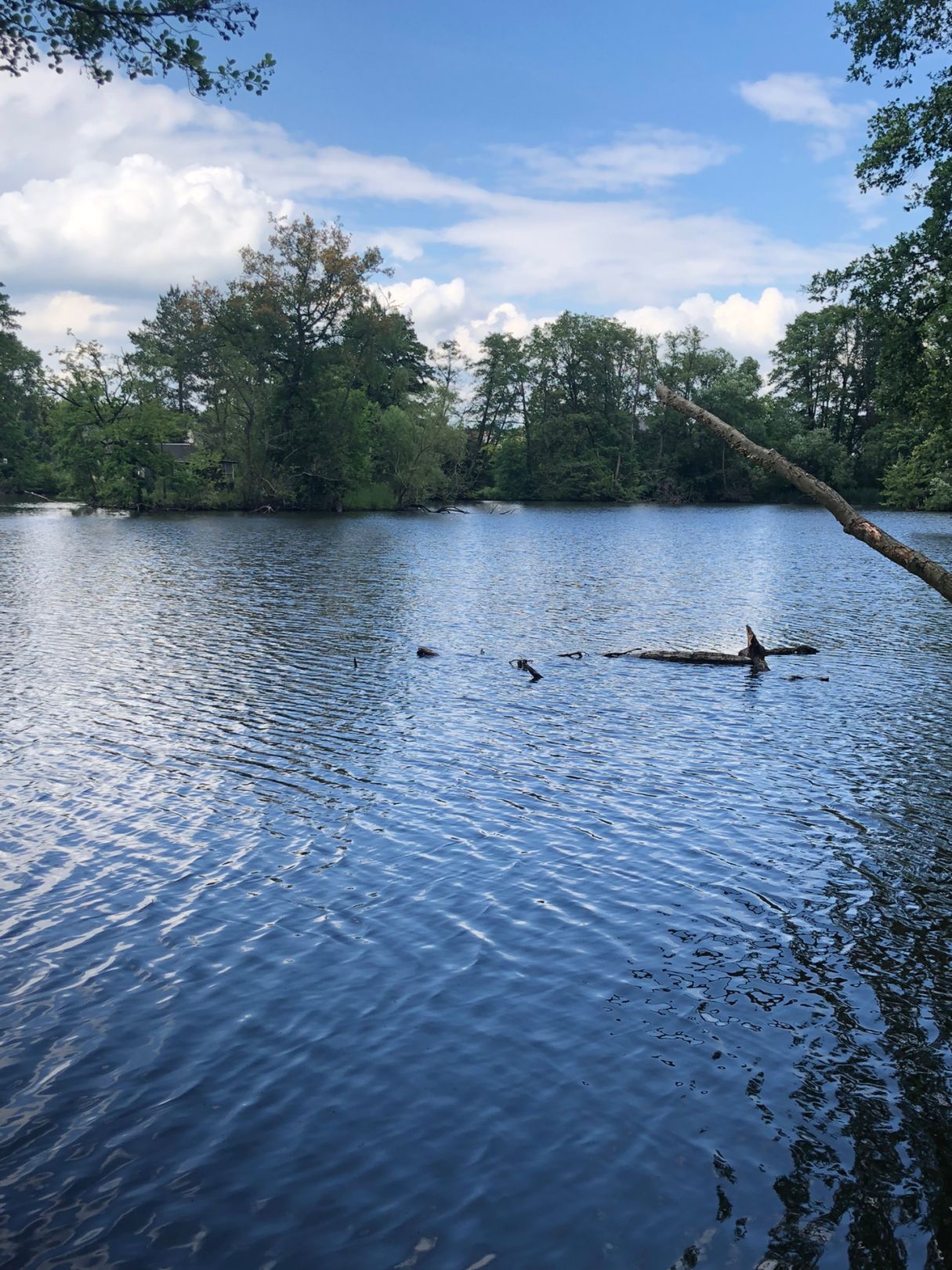 Schachtloch Altenbach angeln