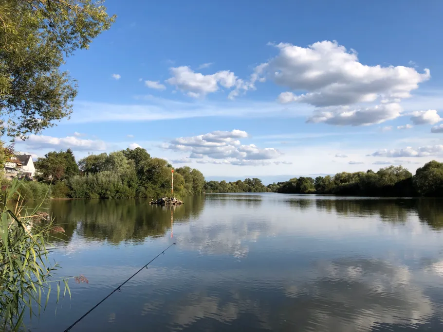 Main (Karlstein am Main) angeln