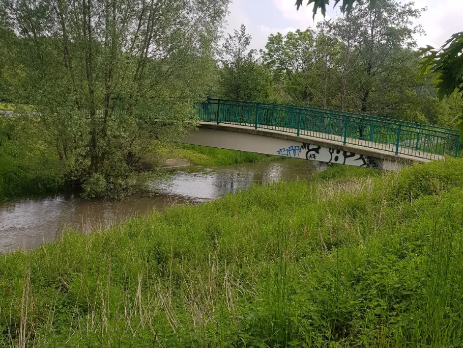Fuhse (Salzgitter) angeln