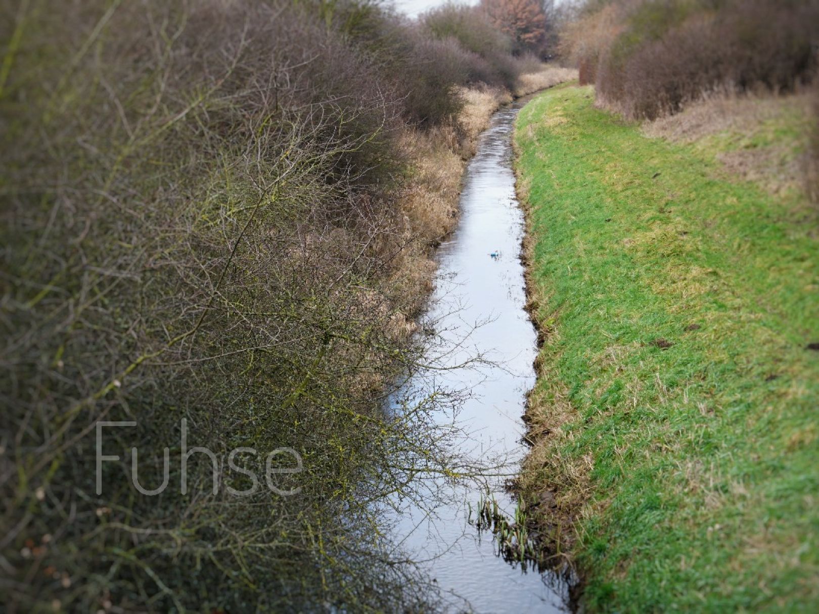 Fuhse (Salzgitter) angeln