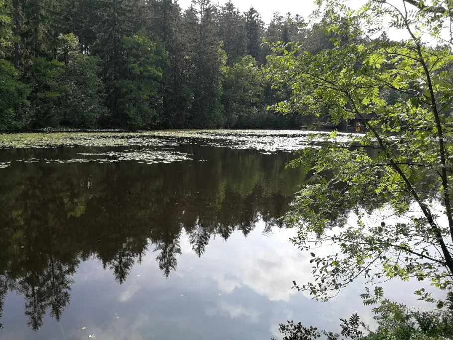 Schlüchtsee angeln