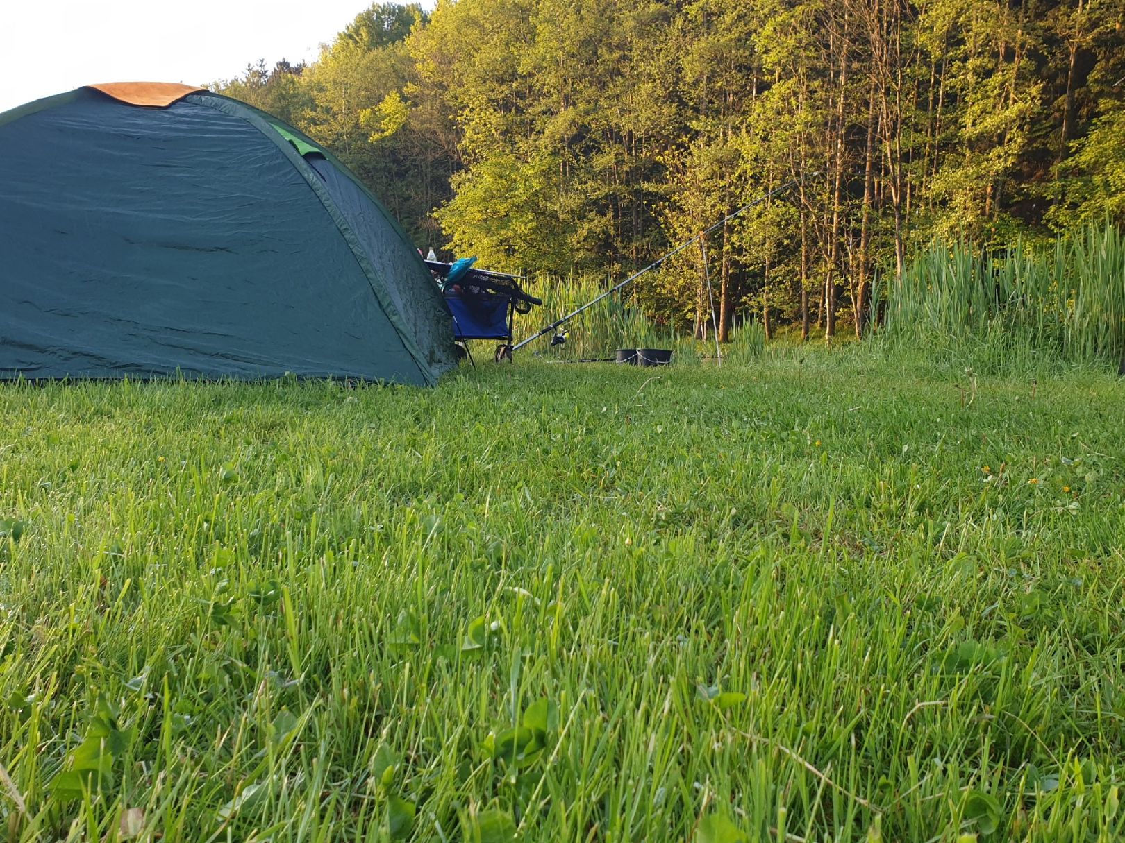 Maillinger Weiher angeln