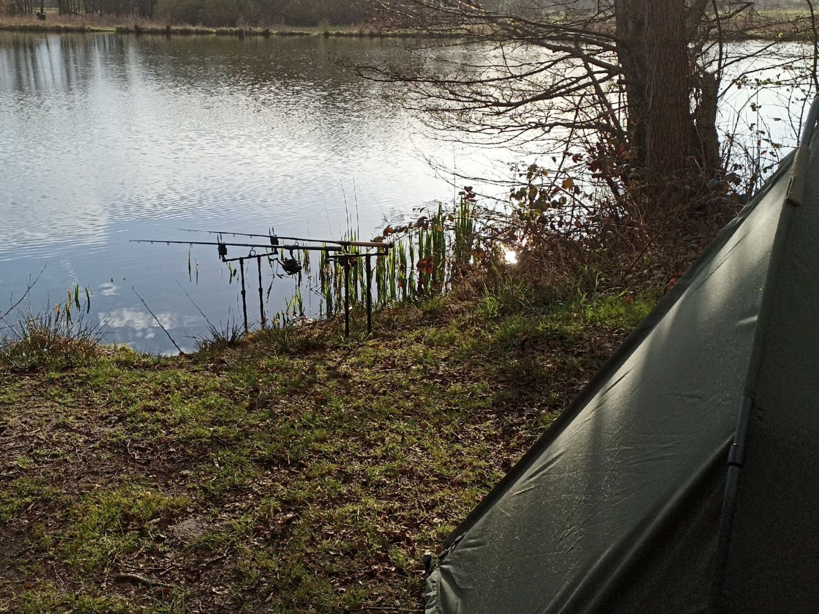Moisburger Teich angeln