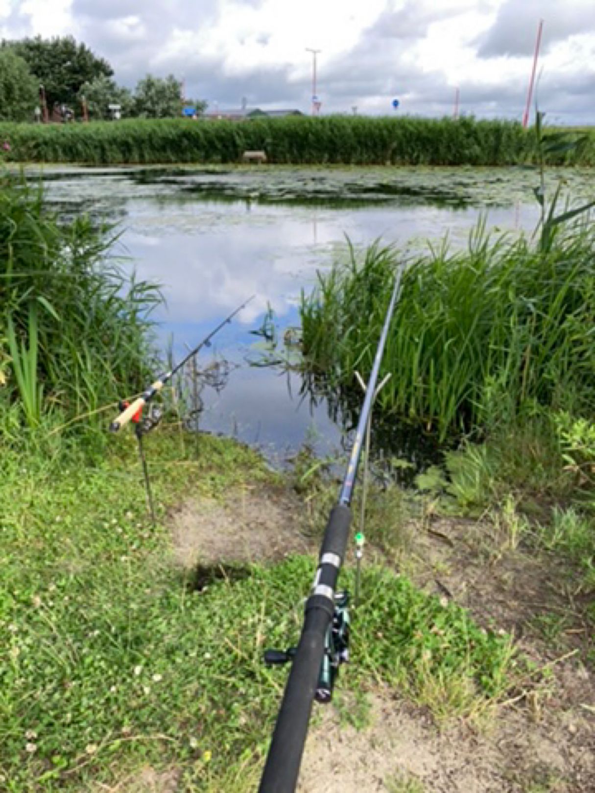 Polder Julianadorp angeln