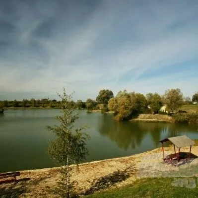Fish Farm Horgásztó Zsennye angeln