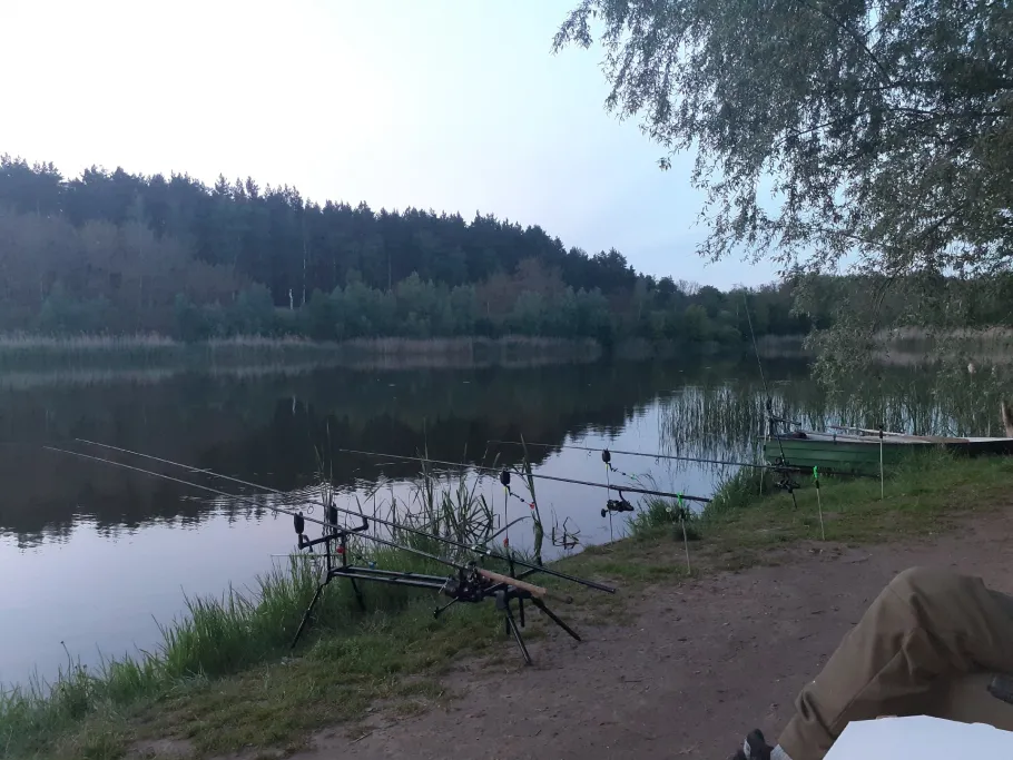 Carp lake 333 (Popowo) angeln